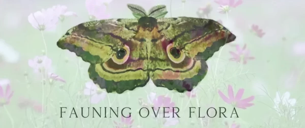 Check out West Salem’s new floral shop, Fauning Over Flora