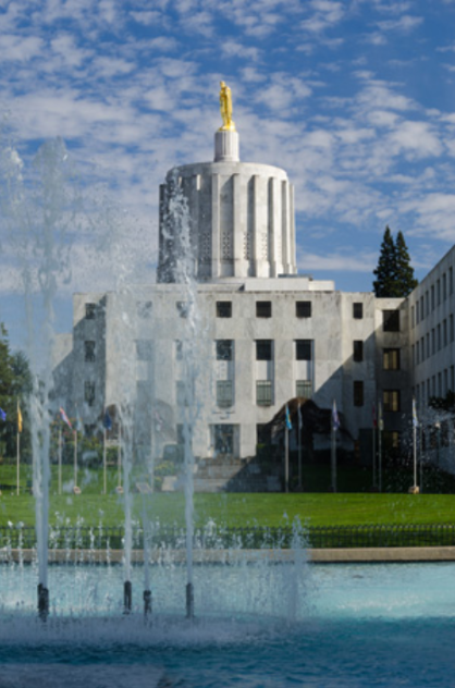 A view of the Oregon State capital, the location of the Salem ICE Protests
